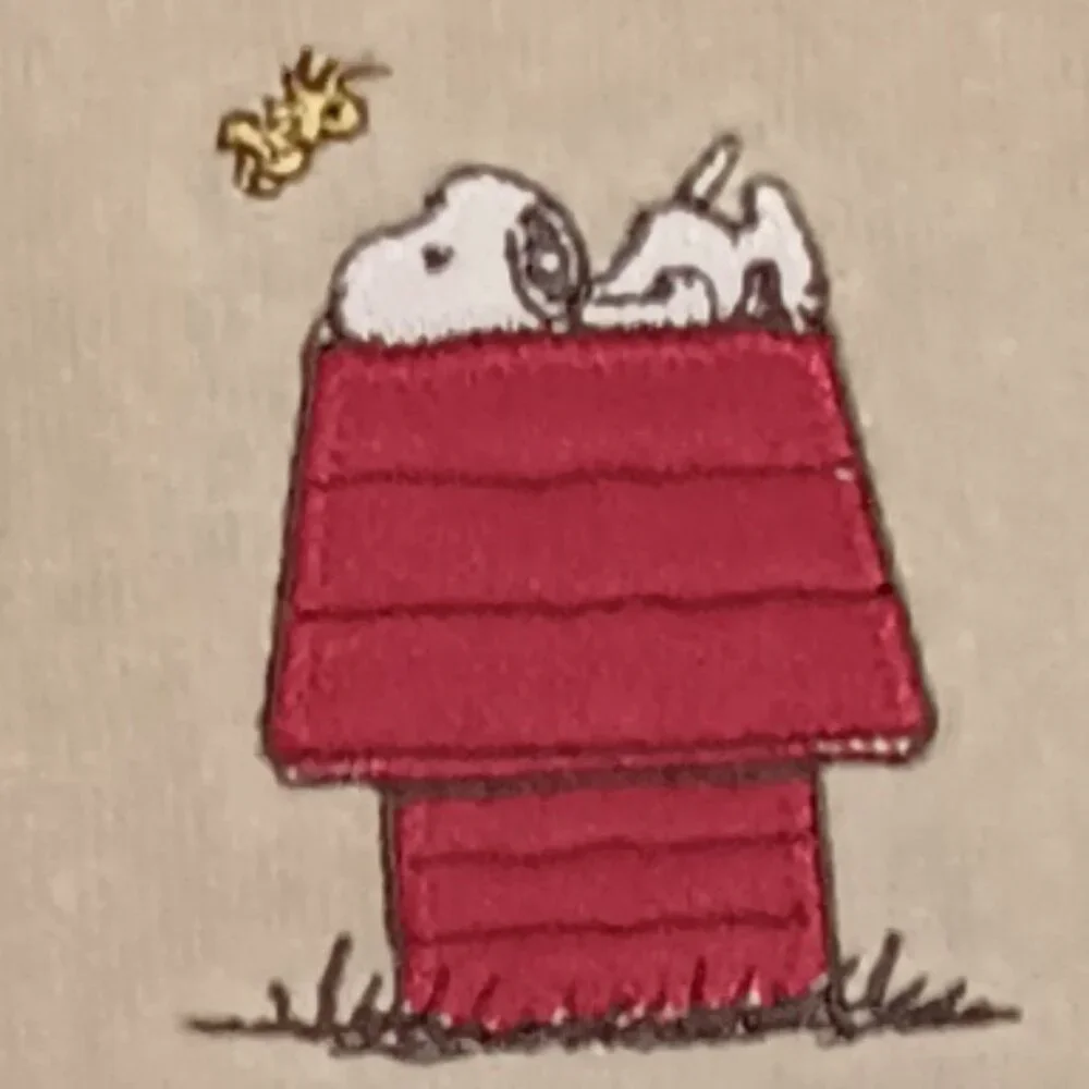NWT ~ The Big One Peanuts 2-Pack Snoopy Hand Towel Set